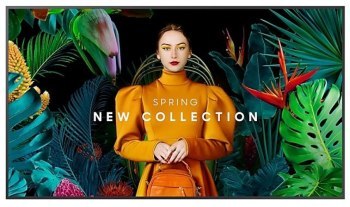 Monitor Samsung SMART Signage 43'' QB43C