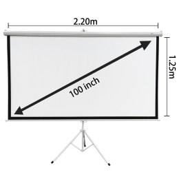 Extralink Ekran projekcyjny Projection Screen 100