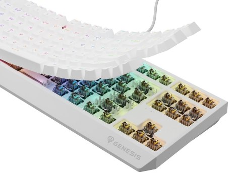 GENESIS Thor 230 TKL klawiatura USB + RF QWERTY