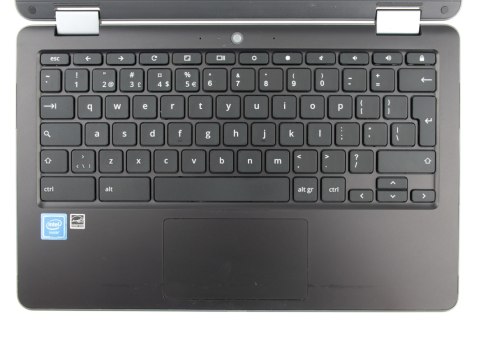 Asus Chromebook C204E
