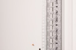 Szafa sieciowa wisząca Unique 19