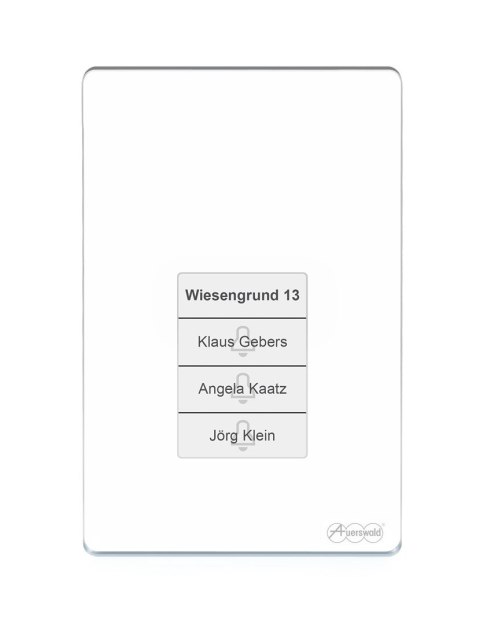 Terminal kontroli dostępu Auerswald TFS-Dialog 400 z czytnikiem linii papilarnych - biały