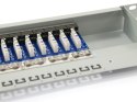 Patchpanel Equip CAT6 24 Port lightgrey 19 cali (1HE)