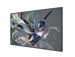 Philips Signage Solutions Q-Line Płaski panel Digital Signage 139,7 cm (55