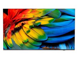 Telewizor hotelowy PHILIPS 50HFL6214U/12 126.0cm (50