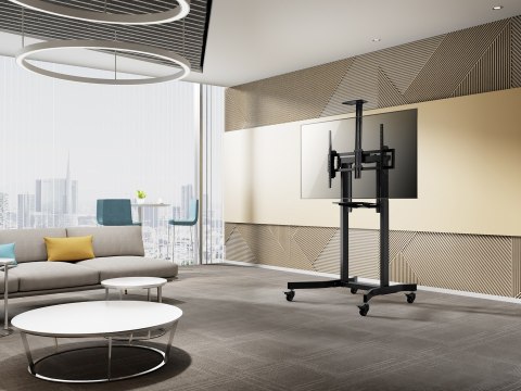 Uchwyt na stojak podłogowy Equip 55-100"/1TFT 120kg 1Półka lite Sprzedaż detaliczna (650633)