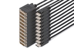 Kabel adapter DisplayPort, DP - DVI (24+1)M/M, 2.0m, 10er Set, Full HD, CE, bl