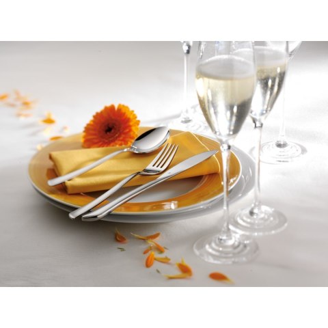 Zestaw sztućców WMF Besteckset Virginia 66-teilig