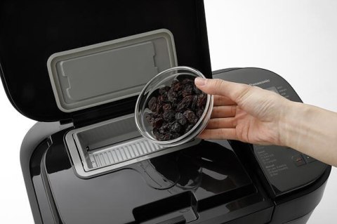 Panasonic SD-R2530KXE wypiekacz do chleba 550 W Czarny