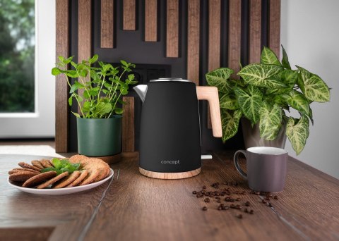 Concept Czajnik elektryczny ELWOOD 1,7l RK3316
