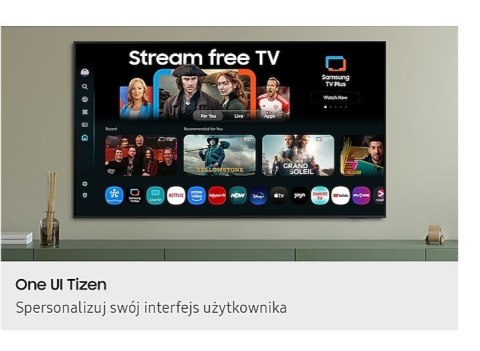 Samsung Telewizor 43 cale QE43Q8FAAUXXH