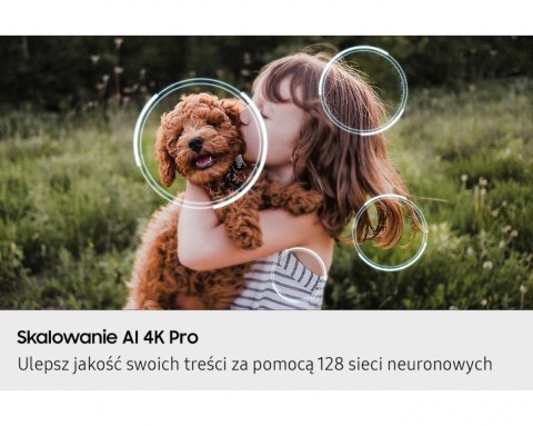 Samsung Telewizor OLED 48 cali QE48S90FAEXXH