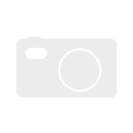 Insta360 GO Ultra Standard Bundle (Arctic White) - kamera sportowa 53g