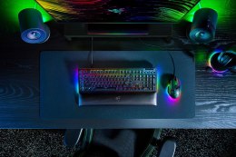 Klawiatura Razer BlackWidow V4 - Podświetlenie - USB-C - QWERTZ - Niemiecki - Przełącznik kluczykowy: Razer Green