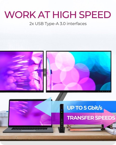 ICY BOX IB-DK2251AC Przewodowa USB 3.2 Gen 2 (3.1 Gen 2) Type-A Czarny