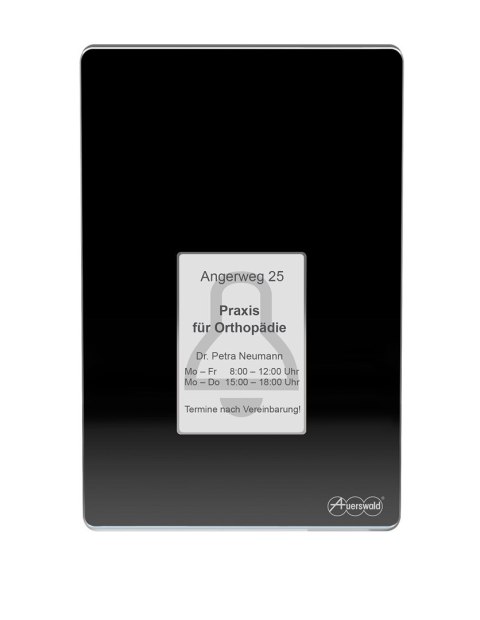 Terminal kontroli dostępu Auerswald TFS-Dialog 400