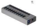 Delock Zewnętrzny USB 3.0 Hub z 10 portami i przełącznikami