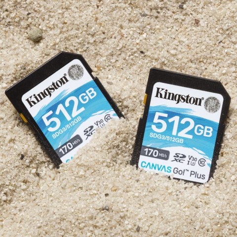 Kingston Technology Canvas Go! Plus 512 GB SD UHS-I Klasa 10