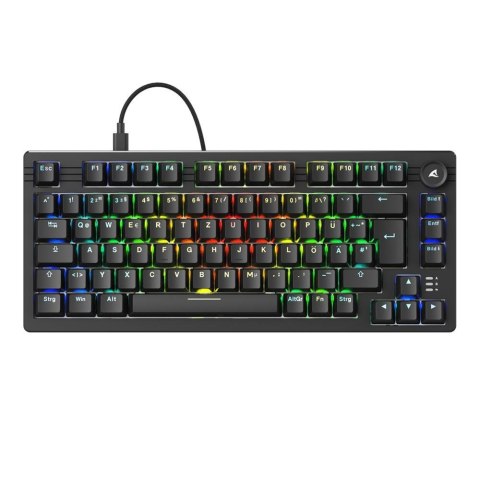 Klawiatura Sharkoon Gaming Tastatur Skiller SGK25 schwarz DE