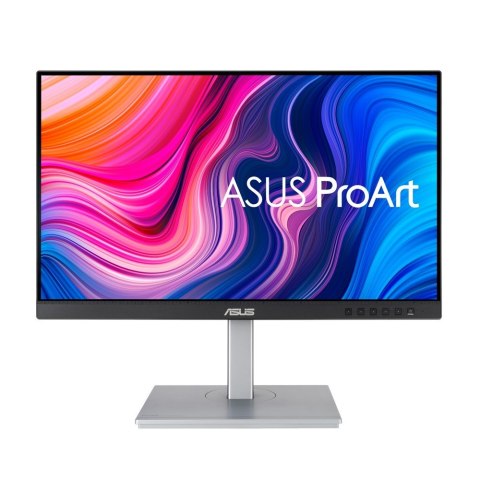 Monitor ASUS PA247CV (23.8" /TFT IPS /60Hz /1920 x 1080 /Czarno-srebrny)