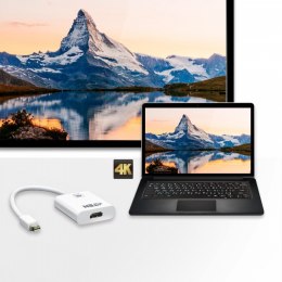 ATEN Adapter Mini DisplayPort do HDMI 4K