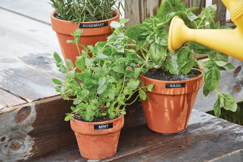 Dymo- drukarka etykiet LM 210D KIT QWERTY