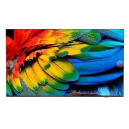 Philips 43HFL6214U 109,2 cm (43