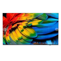 Telewizor hotelowy PHILIPS 50HFL6214U/12 126.0cm (50