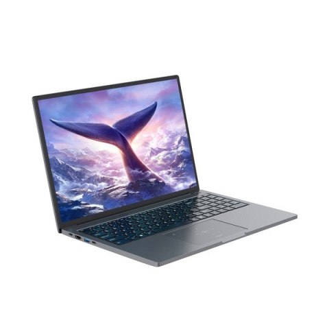 Laptop Blackview GamiBook-8 Ryzen 7 7735HS/16" WUXGA (1920x1200)/32GB/1TB/BT/BLKB/Win11Pro szary