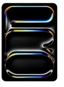 Tablet APPLE iPad Pro 13 cali Wi-Fi 256 GB Gwiezdna Czerń (13