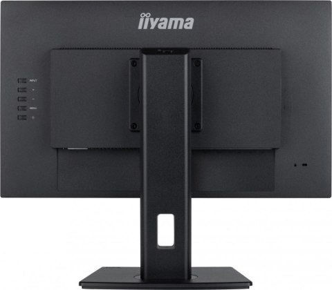 Monitor IIYAMA 4948570123179 (23.8" /IPS /100Hz /2560 x 1440 /Czarny)