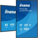 Monitor IIYAMA 108cm (42,5") LH4375UHS-B2AG 16:9 2xHDMI+3xDP+2xUSB