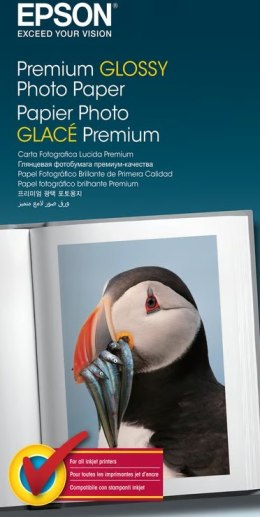 Papier EPSON C13S041624