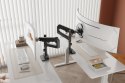Digitus Ramię biurkowe pojedyncze z zaciskiem i sprężyną gazową 1x LCD max. 57" 27kg, VESA: 75x75, 100x100, czarne