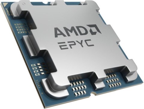 Procesor AMD EPYC 4245P OEM (3.9 GHz /32 MB /Socket AM5 )