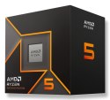 AMD Ryzen 5 9600 procesor 3,8 GHz 32 MB L3 Pudełko