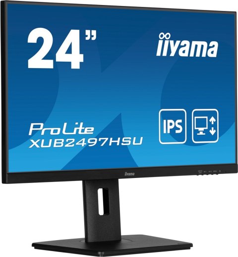 Monitor IPS 1H 1DP, 2x2.0, 100Hz
