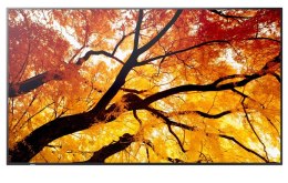 Sharp Monitor wielkoformatowy MultiSync M502 50 cali 550cd/m2 24/7