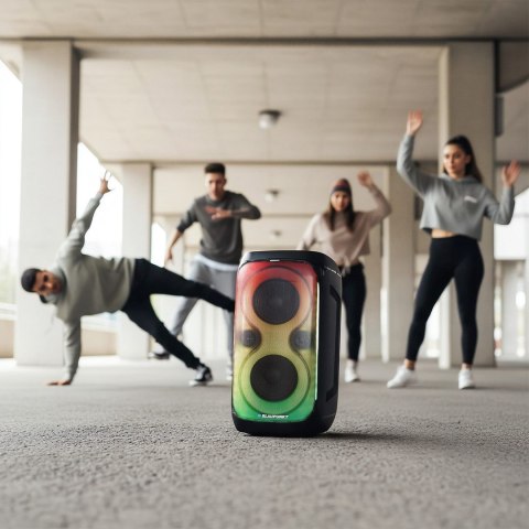 System audio BLAUPUNKT PB60X