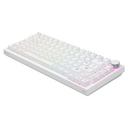 Klawiatura przewodowa SAVIO ASTRAL White OUTEMU White Jade RGB magnetyczna