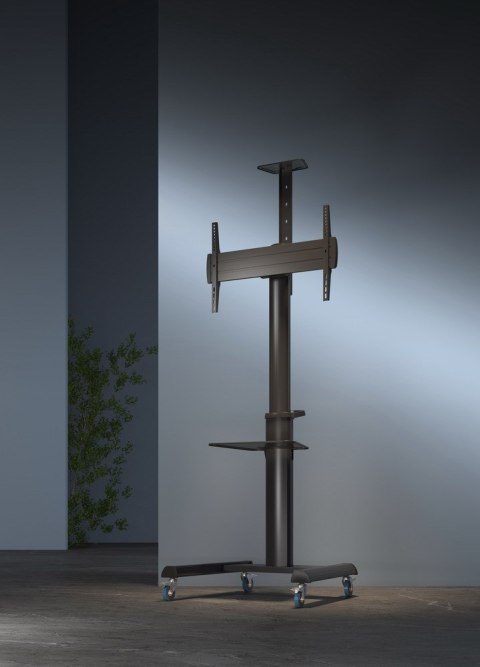 GEMBIRD STOJAK POD TELEWIZOR MOBILNY 37-70" CZARNY