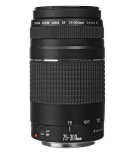 Obiektyw - Canon EF 75-300mm f/4-5.6 III
