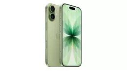 Smartfon Apple iPhone 17 256GB Szałwia MG6N4HX/A