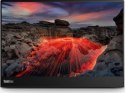 Lenovo ThinkVision M14t Gen 2- 14'' | IPS | 2.2K | 16:10 | 10-punktowy dotyk | 100% sRGB | USB-C 65W