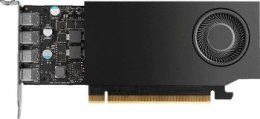 PNY NVIDIA A400 4GB GDDR6 64-bit Low Profile PCIe 4.0 x8 Single slot 4 x Mini DisplayPort 1.4a 50W LP bracket 4 x mDP to DP adap