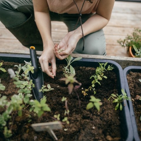 Fiskars Łopatka wąska Solid 1072101