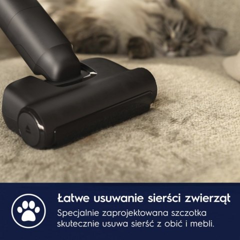 Electrolux Odkurzacz pionowy Animal 800 EP82AB25UG