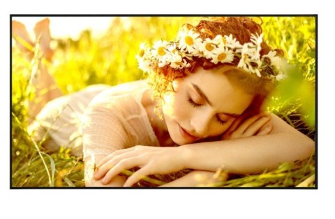 LG Electronics Monitor wielkoformatowy 75UL5Q-E 500cd/m2 UHD 24/7