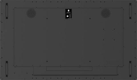 Monitor Iiyama ProLite TF5539AS-B1AG 55 PCAP IPS 4K