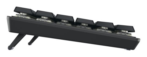 Klawiatura CHERRY TAS KW 550 MX LED Low Profile TKL DE